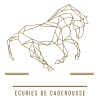 Ecuries de Caderousse - Stages et cours d'équitation prés d'orange
